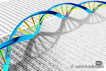 Landmark Study: Sequencing of 64 Full Human Genomes to Better Capture Genetic Diversity
