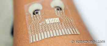 Wearable, All-in-One Health Monitor: New Skin Patch Continuously Tracks Cardiovascular Signals and Biochemical Levels