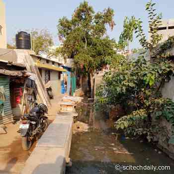 First Global-Scale Assessment Finds Nature Sanitizes 41.7 Million Tons of Human Waste a Year