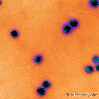 DNA Origami Used to Monitor CRISPR Gene Targeting