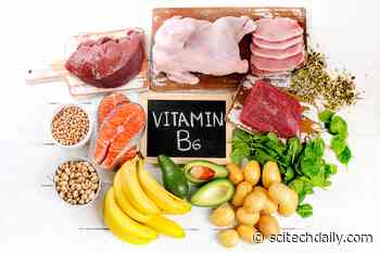 Vitamin B6 May Calm COVID-19’s Cytokine Storms and Unclog Blood Clots Linked to Lethality