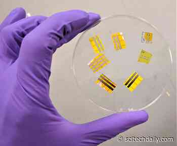 Smart OLED Tattoos: Engineers Create Light-Emitting Tattoo