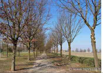 Modena, parco dei Torrazzi: fermateli! - Politica - LaPressa.it - La Pressa