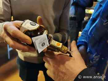 Aceto balsamico di Modena: Patuanelli, lo tuteleremo da attacchi - Terra & Gusto - Agenzia ANSA