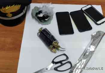 Putignano, in auto con 10mila euro di cocaina: arrestati due giovani - Telebari srl