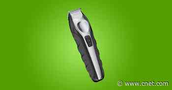 The best beard trimmers for 2021     - CNET