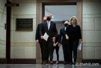 DNC releases video hitting Republicans on vote against coronavirus relief bill
