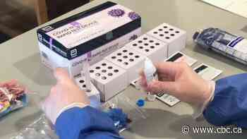 Identifying COVID-19 variants takes time, infrastructure: VIDO researcher