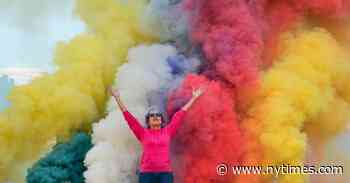 Smoky Artwork by Judy Chicago at Desert Zoo Is Canceled