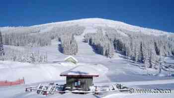 B.C. ski resort employee dies after getting stuck under snow groomer