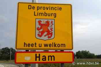 Volop feest tijdens de jeugdboekenmaand (Ham) - Het Belang van Limburg Mobile - Het Belang van Limburg