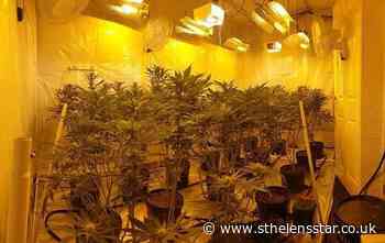 Enquiries continue into cannabis farm on St Helens Road - St Helens Star