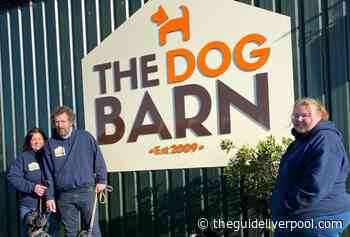 The Dog Barn in St Helens share their top tips on keeping your dog happy after lockdown ends - The Guide Liverpool