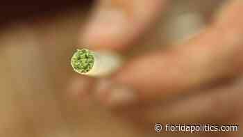 Spencer Roach files THC limits on medical marijuana Could 10% caps on smokable cannabis be on the way? - Florida Politics