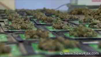 Florida bills broaden access to medical, recreational pot - WJXT News4JAX