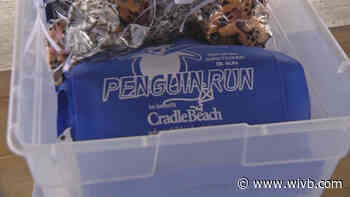 Penguin Run 5k to benefit Cradle Beach goes on despite the pandemic
