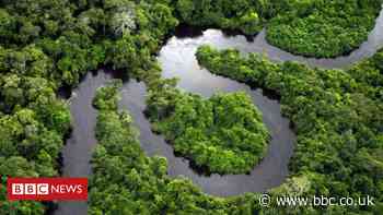 Amazon rainforest plots sold via Facebook Marketplace ads