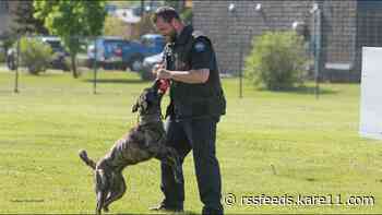 BCA: Duluth standoff over after suspect died, police K-9 killed