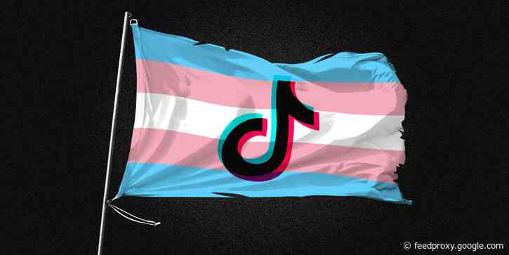 Transgender TikTok creators say the app's mysterious 'For You' page is a breeding ground for transphobia and targeted harassment
