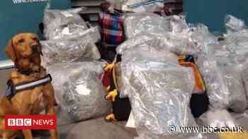 Drugs worth more than €1m seized at Dublin Port