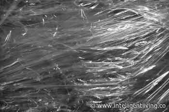 Biodegradable Plastic Wrap For Food Packaging Made From Industrial Waste - Intelligent Living