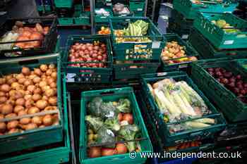 Revealed: UK’s largest supermarkets throw away enough food for 190 million meals each year - The Independent