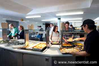 What you eat is influenced by the food choices of people you dine with - New Scientist