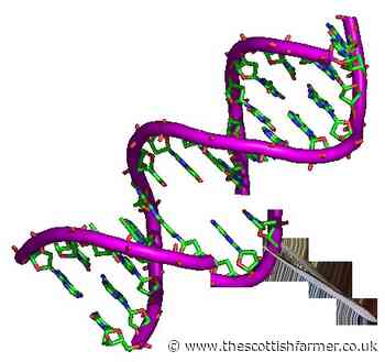 Co-op says no to gene edited food - The Scottish Farmer