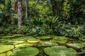 Brazil’s first self-developed satellite will keep an eye on the rain forests