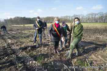 Minister Zuhal Demir plant extra bos aan in Hoogveld