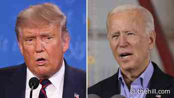 Biden reverses Trump actions on visas, architecture, cities | TheHill - The Hill