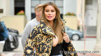 Sofia Vergara's Next Big Move In Embryos Case - Grazia - Grazia