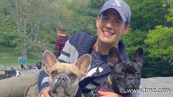 Lady Gaga Dognappers May NOT Have Targeted Her