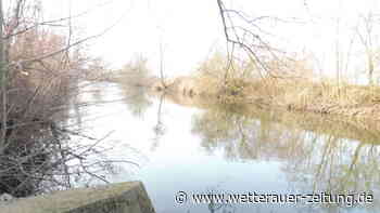 Stadt prüft Ausbaggern des Nidda-Altarms - Wetterauer Zeitung