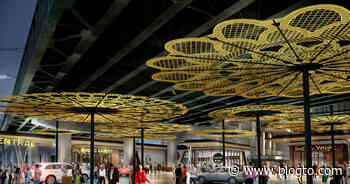 Toronto is getting huge illuminated lotuses under the Gardiner Expressway - blogTO