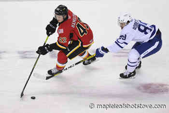 Toronto Marlies end eight-game road trip with embarrassing loss to Stockton | Maple Leafs Hotstove - Maple Leafs Hot Stove