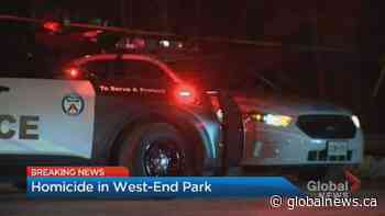 Woman who called 911 for help found dead in Toronto west end park | Watch News Videos Online - Globalnews.ca