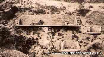 Unearthed photo of girl who fell into Dudley Zoo tiger den - Stourbridge News