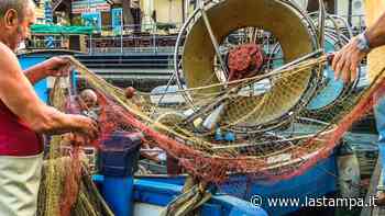 Covid e fermo pesca “affondano” le flotte: nel Savonese incassi più che dimezzati - La Stampa