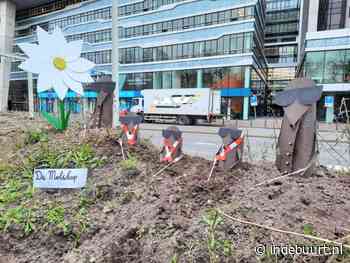 Mysterie: van wie is de mol en zijn familie? - indebuurt