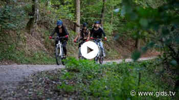 Wie is de Mol? aflevering 9 gemist? Bekijk de opdracht 'Intrappen' - Gids.tv