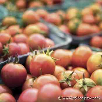 Over $150,000 in Grants Available to Enhance and Promote Rhode Island-Grown Specialty Crops - GoLocalProv
