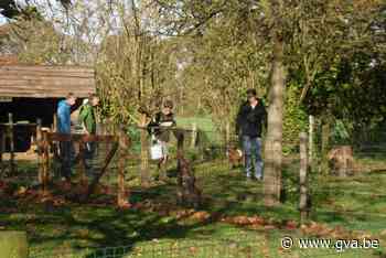 Vaccinatie-voorrang voor medewerkers zorgboerderij en 79 and... (Essen) - Gazet van Antwerpen