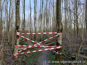 Staatsbosbeheer verwijdert zieke essen uit Broekpolder - Vlaardingen24
