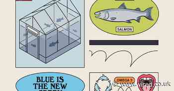 It’s time to start farming salmon on land in eco-friendly bluehouses
