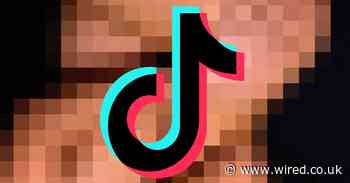 TikTok has accidentally conquered the porn industry