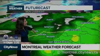 Snow and rain in Montreal - CityNews Montreal