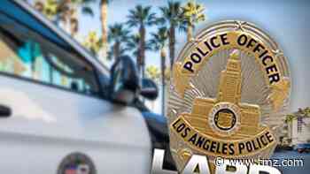 Loss of LAPD's RHD Sex Crimes Unit Hurts High-Profile Cases, Cops Say