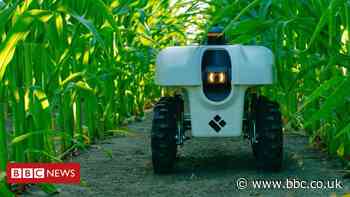 'Farms are going to need different kinds of robots'