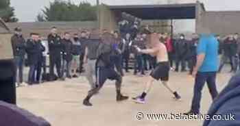 Police swoop after 250 gather to watch organised fight - Belfast Live